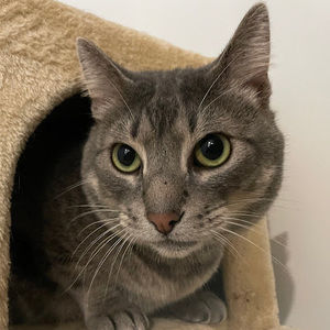 Meet your Posher, Cici